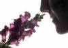Central location test of fragrances in Poland